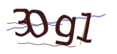 Identifying code