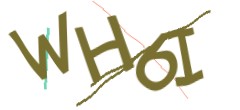 Identifying code