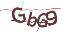 Identifying code
