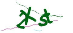 Identifying code