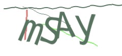 Identifying code