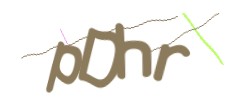 Identifying code