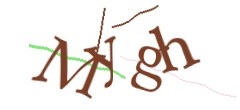 Identifying code