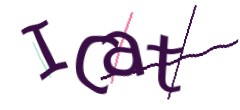 Identifying code