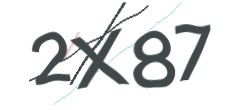 Identifying code