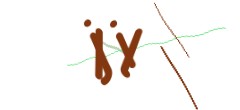 Identifying code