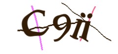 Identifying code