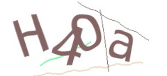 Identifying code