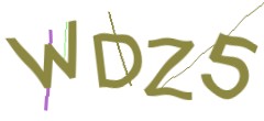Identifying code
