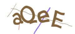 Identifying code