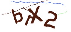 Identifying code