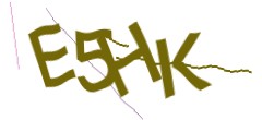Identifying code