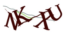 Identifying code