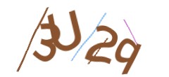 Identifying code