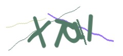 Identifying code