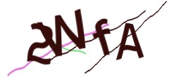 Identifying code