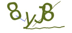 Identifying code