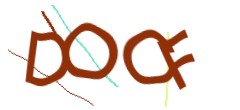 Identifying code