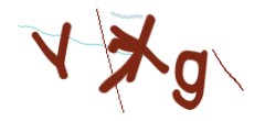 Identifying code