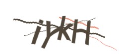 Identifying code