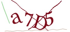 Identifying code