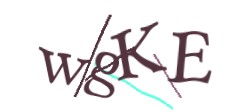 Identifying code