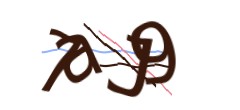 Identifying code