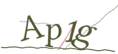 Identifying code