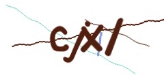 Identifying code