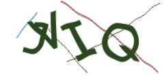 Identifying code