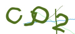 Identifying code