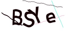 Identifying code