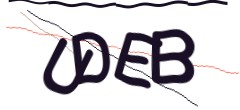 Identifying code