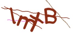 Identifying code