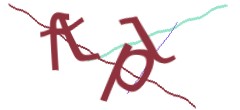 Identifying code