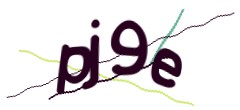 Identifying code