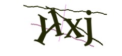 Identifying code