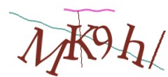 Identifying code