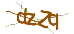 Identifying code