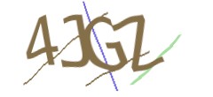Identifying code