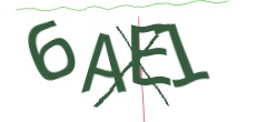 Identifying code