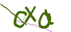 Identifying code