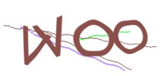 Identifying code