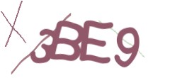 Identifying code