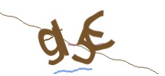 Identifying code