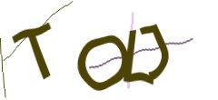 Identifying code