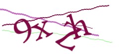 Identifying code