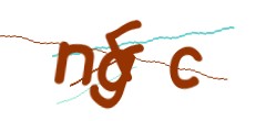 Identifying code