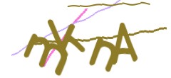 Identifying code