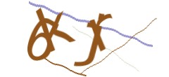 Identifying code